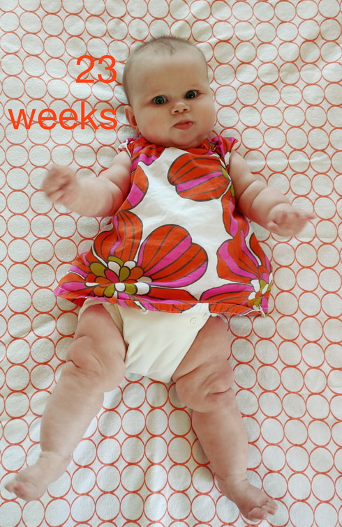 23 week annie