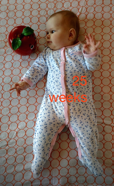 25 week annie