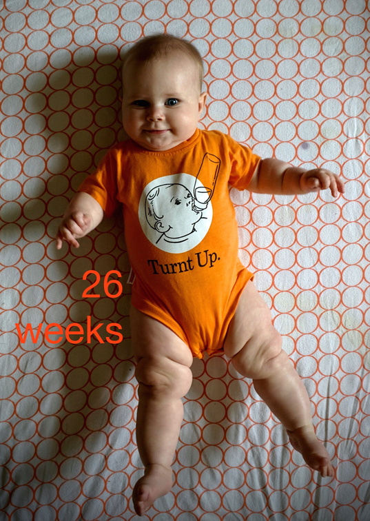 26 week annie