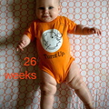 26 week annie