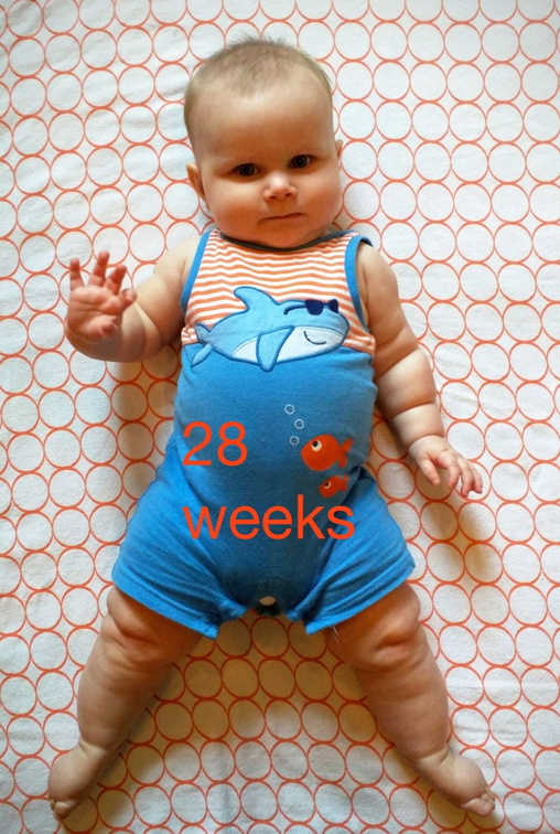 28 week annie