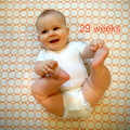 29 week annie