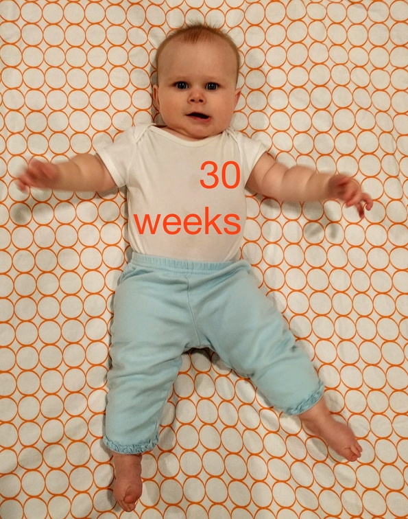 30 week annie