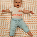 30 week annie