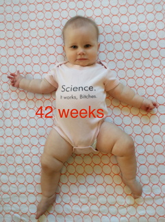 42 week annie