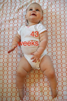 43 week annie