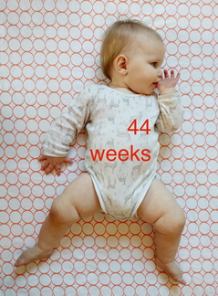 44 week annie