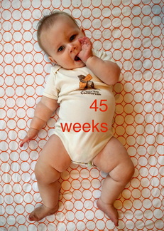 45 week annie