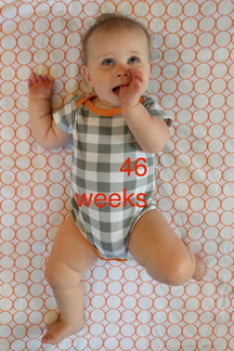 46 week annie