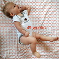 49 week annie