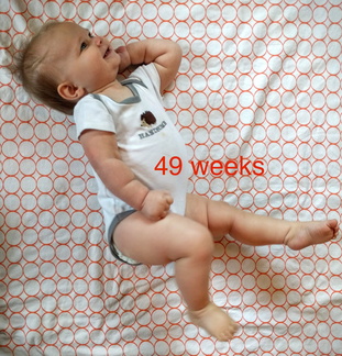 49 week annie