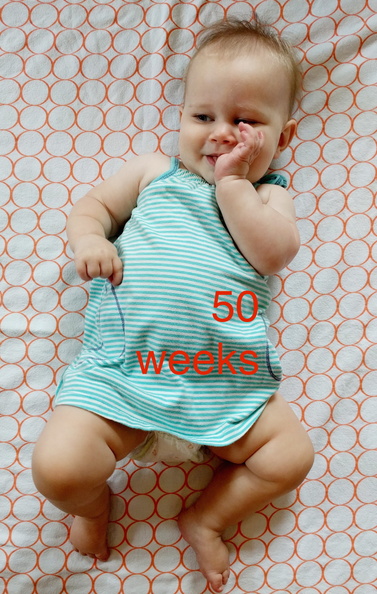 50 week annie