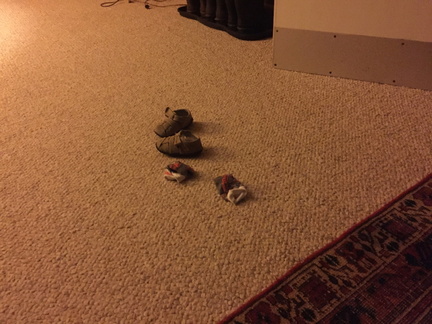 IMG 2473