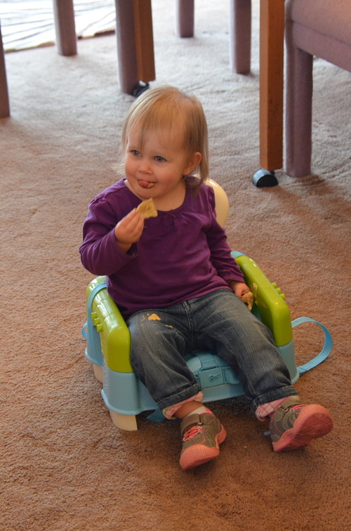 Photos General 2017-01-28 002