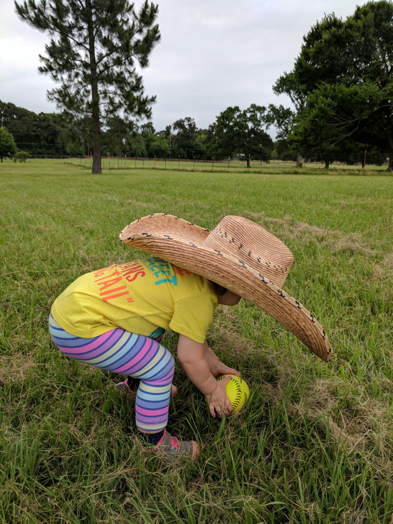 IMG 20170528 095400