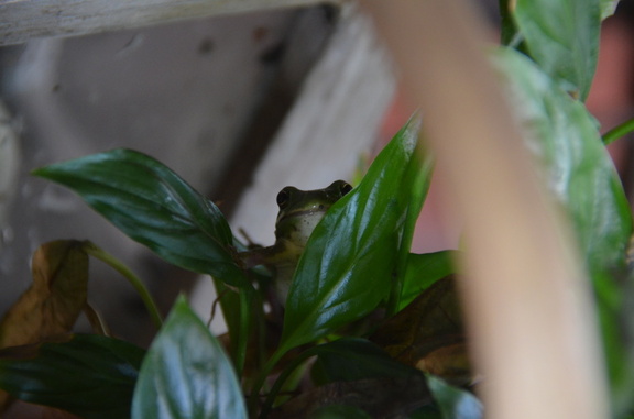 Photos General 2017-05-27 019