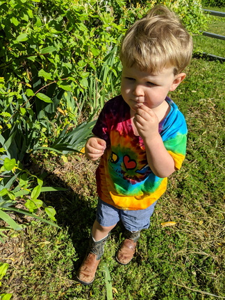 IMG 20190420 100208