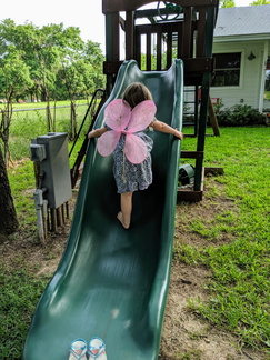 IMG 20190526 074359
