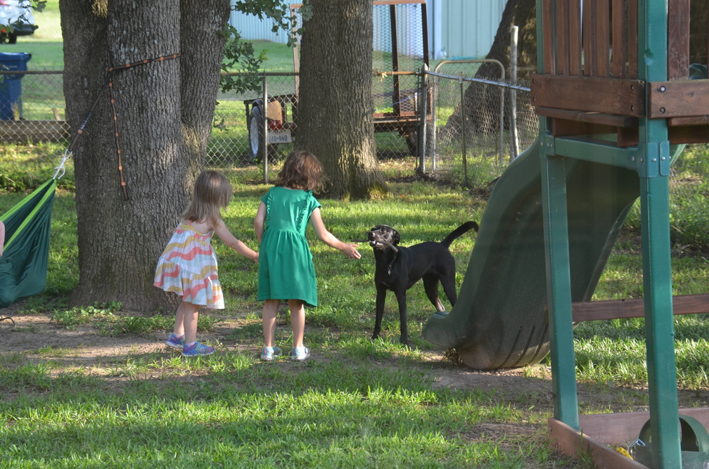 Photos General 2019-05-24 050