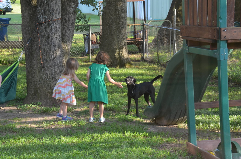 Photos General 2019-05-24 050