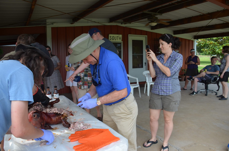 Photos General 2019-05-26 136