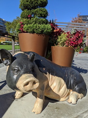 IMG 20191019 113151