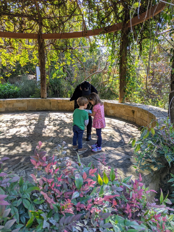 IMG 20191117 110624