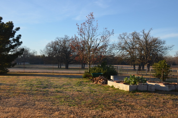 Photos General 2019-12-24 004