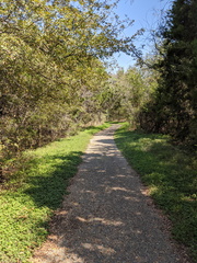 PXL 20201010 184827968