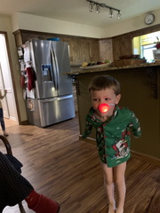 IMG 7169