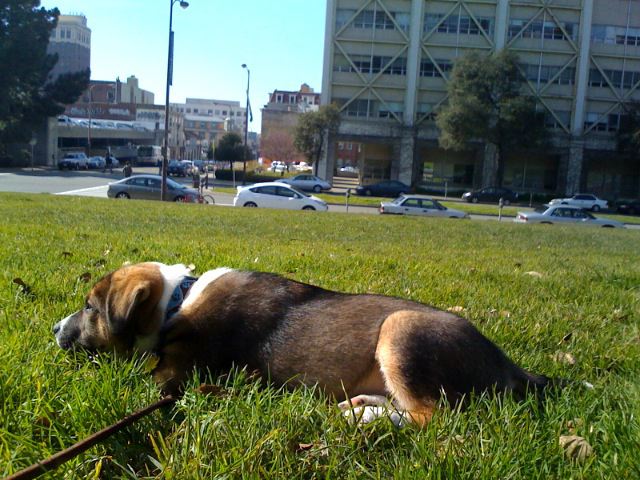 photo 001