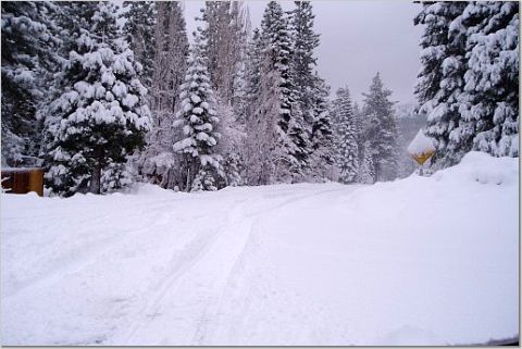 snowy road