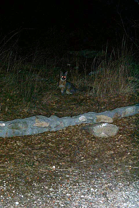 P0000903