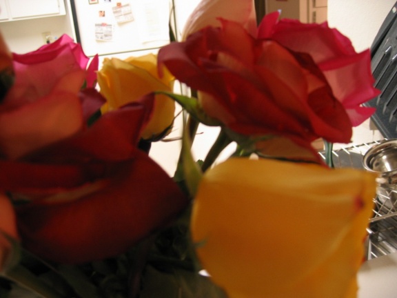 roses and kitchen