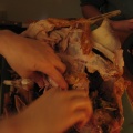 turkey carcass