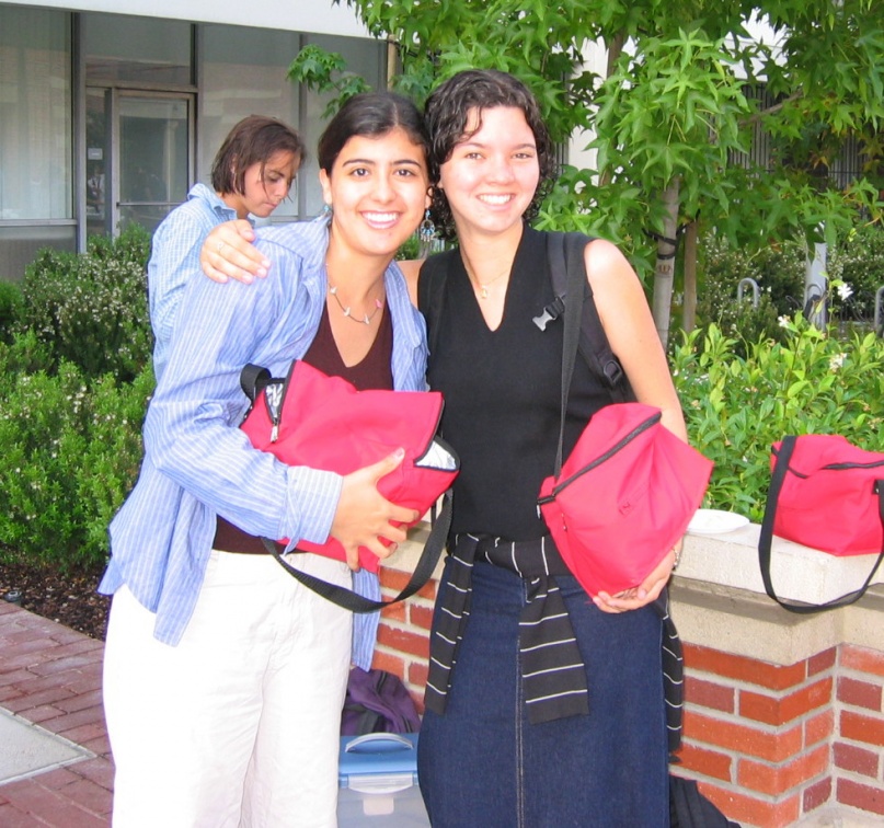 diana jen and red lunch bags