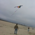bryan watches kite while world tilts