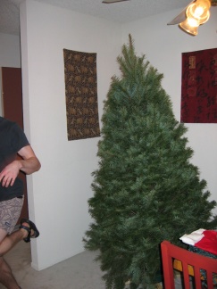christmas tree 3