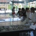 scale_model_of_downtown.jpg