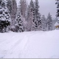 snowy_road.jpeg