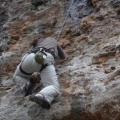 Clare climbs 9